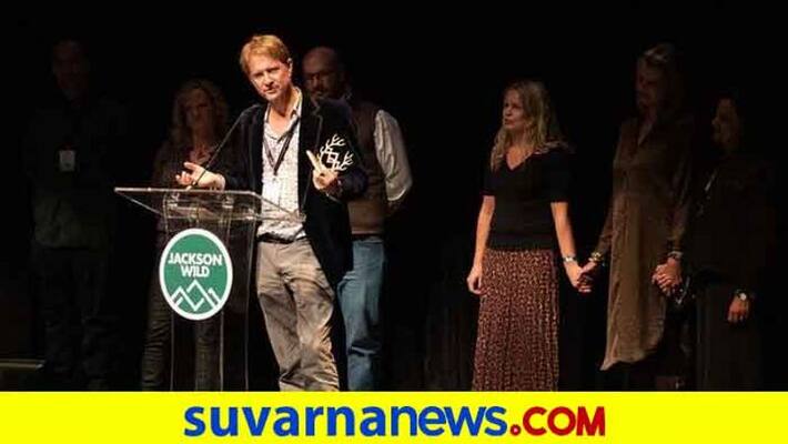 Jackson wild media awards 2020 the octopus teacher takes tenton award vcs Jackson wild media awards 2020 the octopus teacher takes tenton award vcs
