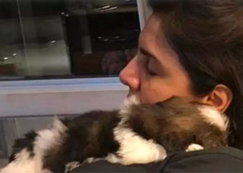 Alia Bhatt to Priyanka Chopra : Celebrities who welcomed pets amid the lockdown dpl
