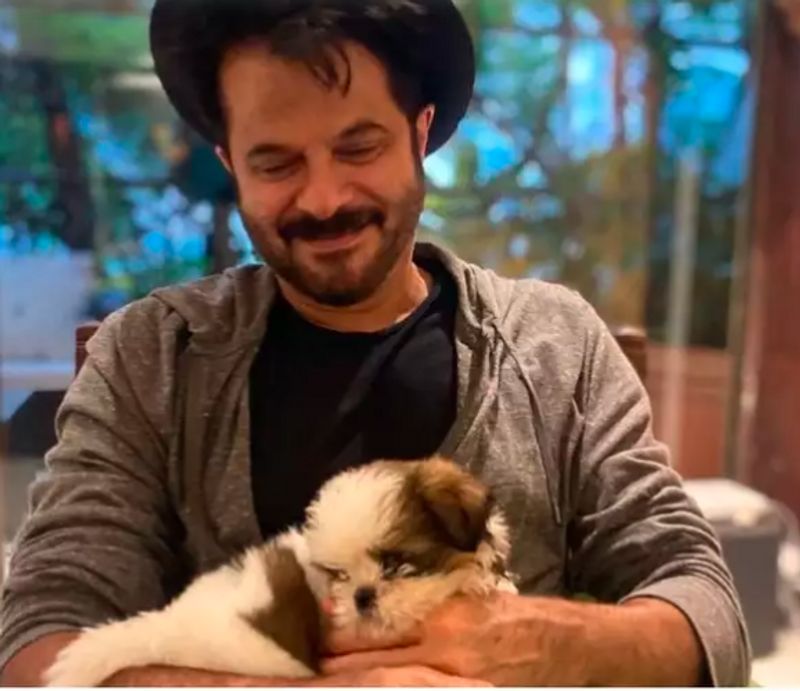 Alia Bhatt to Priyanka Chopra : Celebrities who welcomed pets amid the lockdown dpl