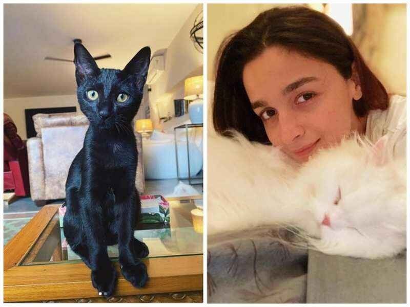 Alia Bhatt to Priyanka Chopra : Celebrities who welcomed pets amid the lockdown dpl