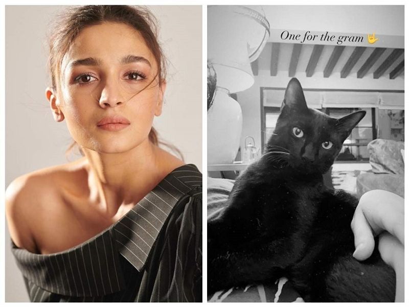 Alia Bhatt to Priyanka Chopra : Celebrities who welcomed pets amid the lockdown dpl