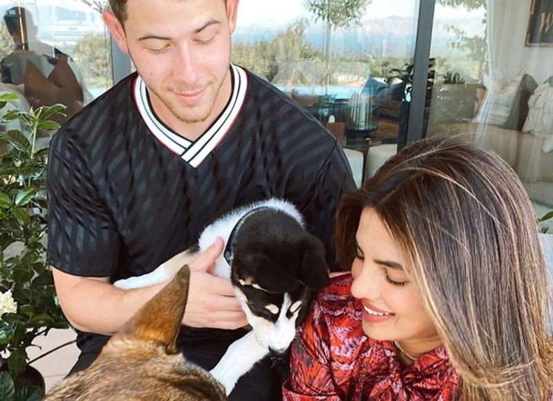 Alia Bhatt to Priyanka Chopra : Celebrities who welcomed pets amid the lockdown dpl