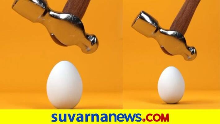 Unbreakable egg that left netizens confused dpl Unbreakable egg that left netizens confused dpl