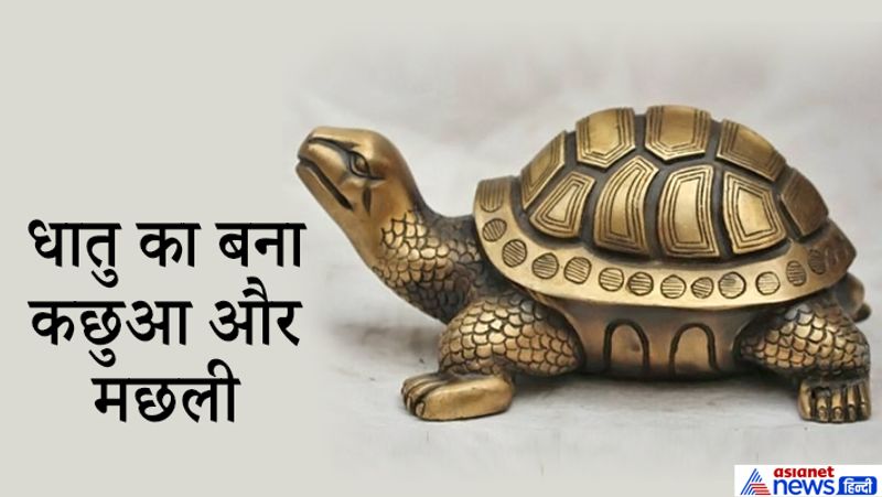 Tortoise vaastu tips that brings peace and Prosperity