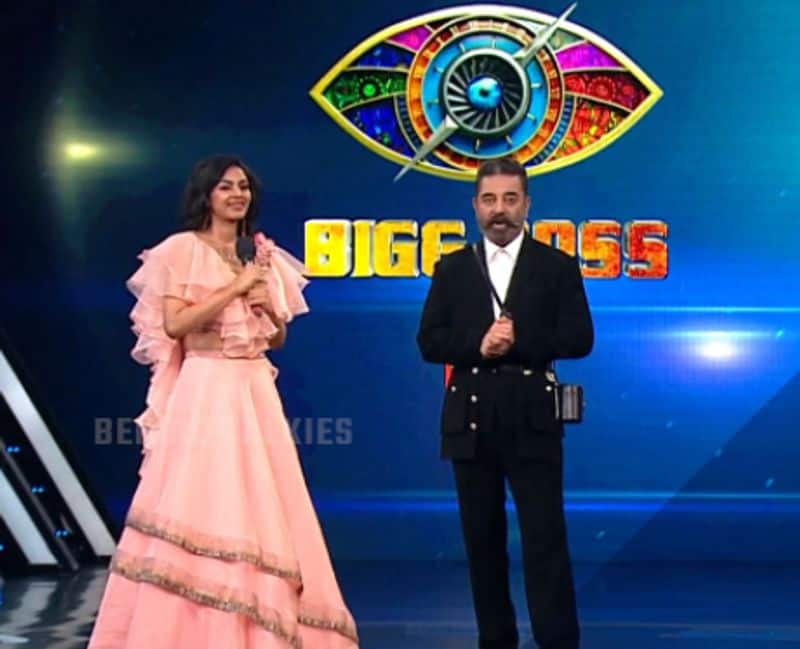 bigg boss season 4 second contestant  Sanam shetty