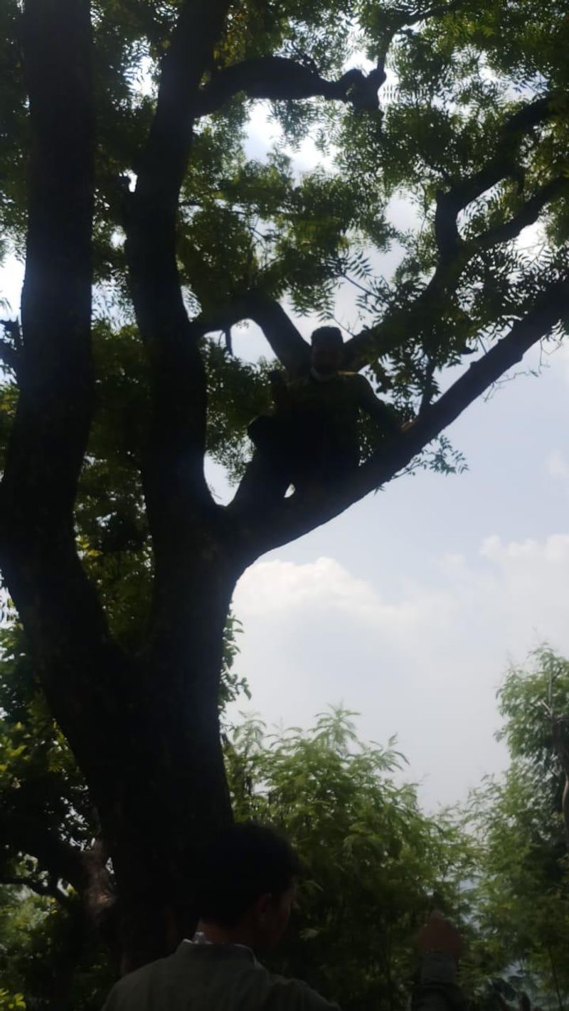 sonu sood set up a cell phone tower for the people of the haryana state village arj