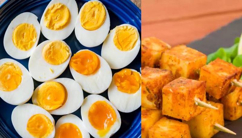 egg or paneer which have more protein know about the expert opinion BDD