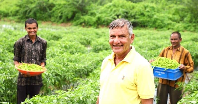 Farmer broke centuries-old tradition and 'inspiration' made for other farmers by cultivating chillies