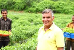 Farmer broke centuries-old tradition and 'inspiration' made for other farmers by cultivating chillies