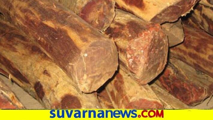 Govt Should Help Sandalwood Farmers Says BR Raguram snr Govt Should Help Sandalwood Farmers Says BR Raguram snr