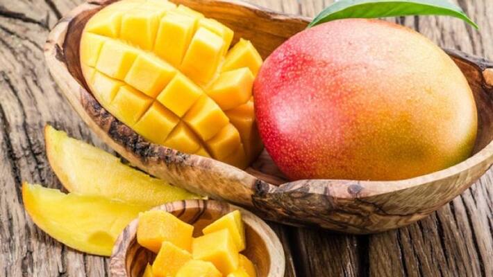 121 varieties of mangoes in a single tree 121 varieties of mangoes in a single tree