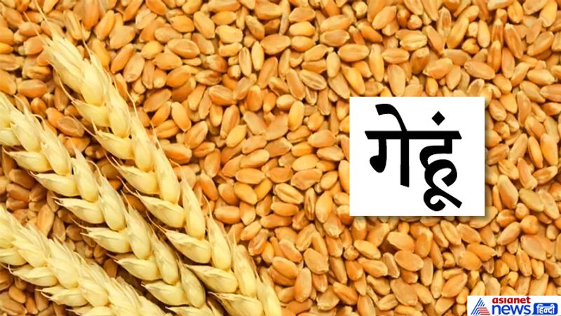 1. पक्षियों को गेहूं डालने से सूर्य और मंगल से जुड़े अशुभ प्रभाव खत्म होते हैं।
