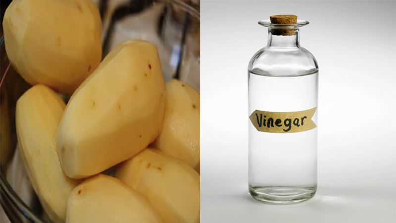 अक्सर हमारे किचन में विनेगर (Vinegar) का इस्तेमाल करते हैं इसका यूज सिर्फ चाइनिस फूड नहीं बल्कि क्लीनिंग और आलू को साफ करने के लिए भी किया जा सकता है। विनेगर आलू को काला पढ़ने से रोकता है साथ ही उसकी सफेदी को बरकरार रखता है। 