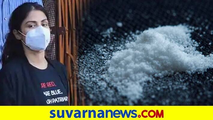 Rhea Chakraborty Gets Bail In Drugs Case No Reprieve For Brother Showik dpl Rhea Chakraborty Gets Bail In Drugs Case No Reprieve For Brother Showik dpl