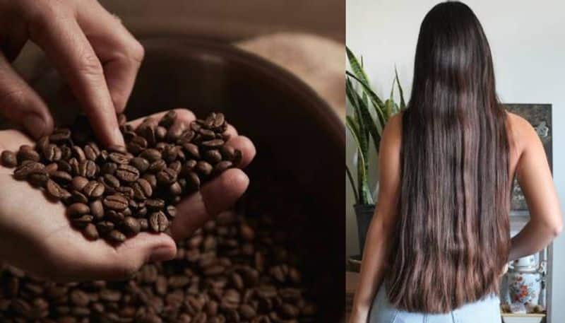 amazing benefits of coffee on hair and scalp in tamil mks
