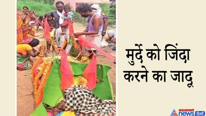 Shocking case of snake bite in Jamshedpur kpa Shocking case of snake bite in Jamshedpur kpa