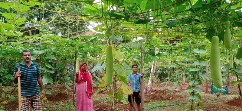 agriculture success story of physical trainer mujeeb from malappuram
