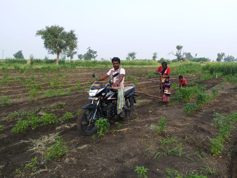 Farmer Sowing by Bike due to Lack of Labors in Ron in Gadag Districtgrg