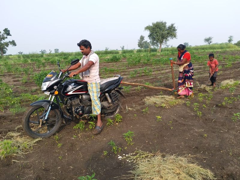 Farmer Sowing by Bike due to Lack of Labors in Ron in Gadag Districtgrg