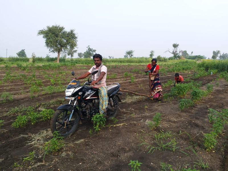 Farmer Sowing by Bike due to Lack of Labors in Ron in Gadag Districtgrg