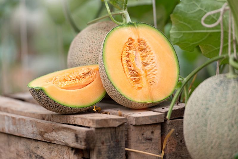 The fruits with the most and least sugar