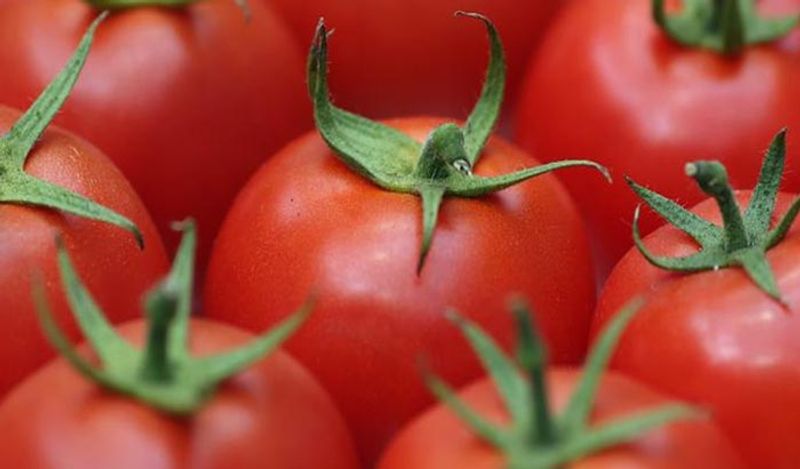 10 things you should never store in fridge