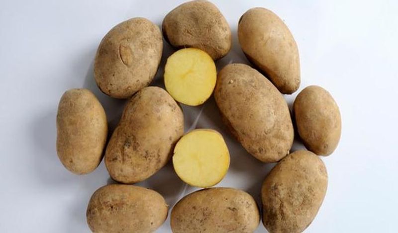 10 things you should never store in fridge