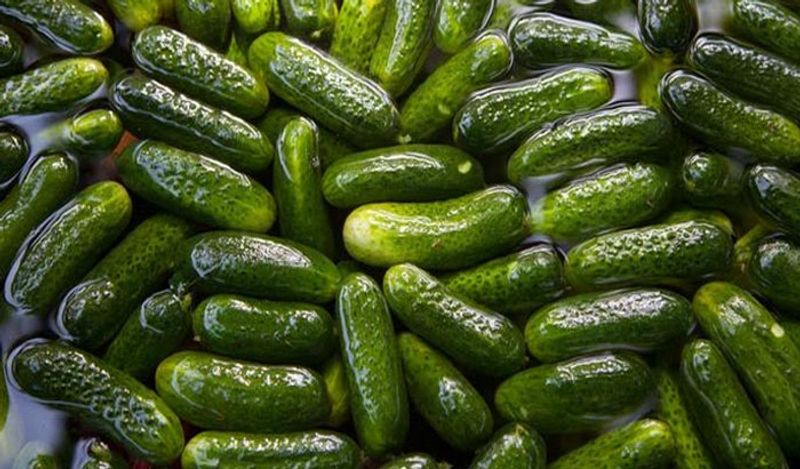 10 things you should never store in fridge