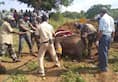 Karnataka to follow an ecologically sustainable model of disposing of elephant carcasses