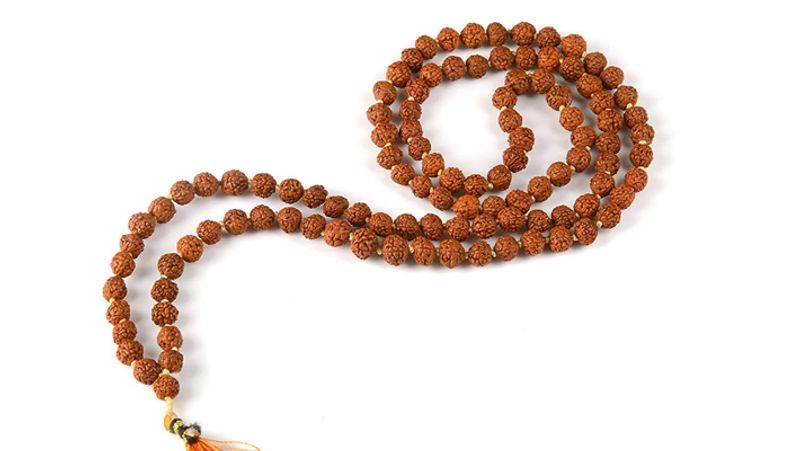 2. घर के मुख्य द्वार सोमवार को रुद्राक्ष की एक माला टांग दें।
