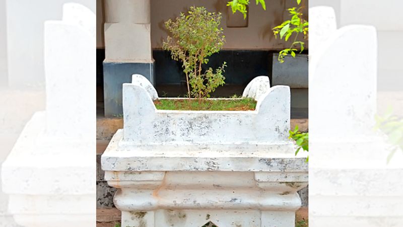 5. घर के बाहर प्रवेश द्वार पर तुलसी का पौधा अवश्य लगाएं। इससे नकारात्मक ऊर्जा घर में प्रवेश नहीं करती है।
