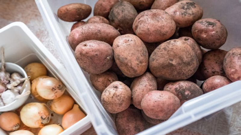 kitchen tips how to store potato onion is it safe to keep both together