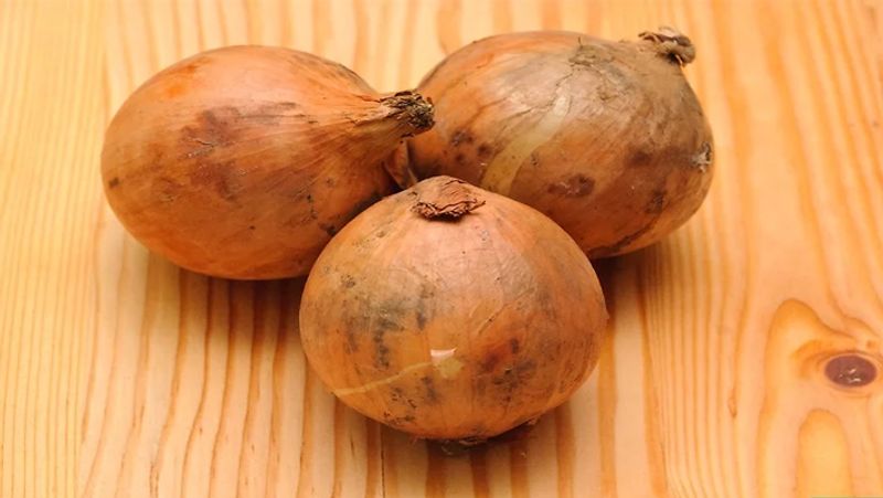 kitchen tips how to store potato onion is it safe to keep both together
