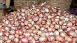 Good news: soon common people will get cheaper onions