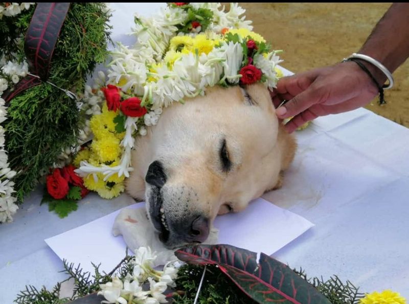 Police Dog Rambo Passes Away in Madikeri grg