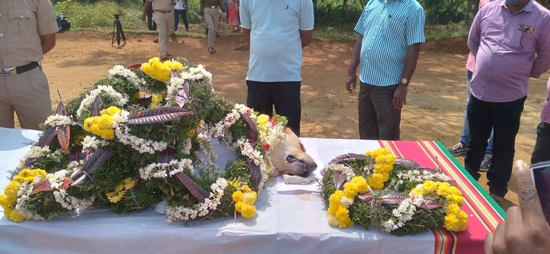 Police Dog Rambo Passes Away in Madikeri grg