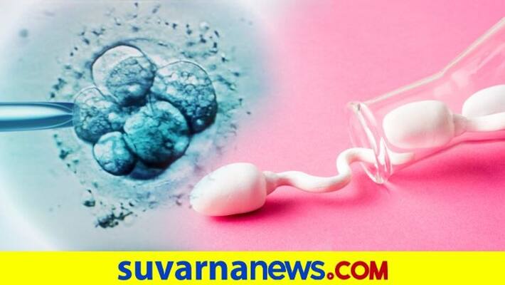 Dutch doctor fathered 17 children in new IVF scandal dpl Dutch doctor fathered 17 children in new IVF scandal dpl