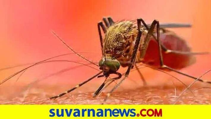 10 Year Old Girl Dies for Dengue in Huvinahadagali in Ballari District grg 10 Year Old Girl Dies for Dengue in Huvinahadagali in Ballari District grg