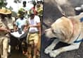 Karnataka Trainers bid teary adieu to Kodagus crime buster dog Rambo