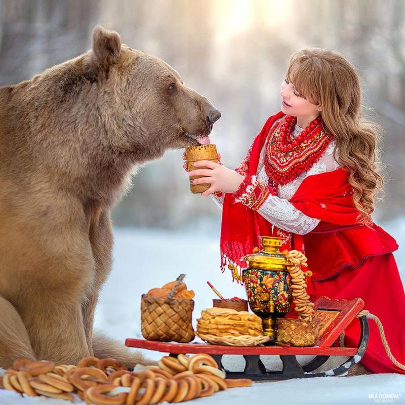 Photoshoot with a brown bear