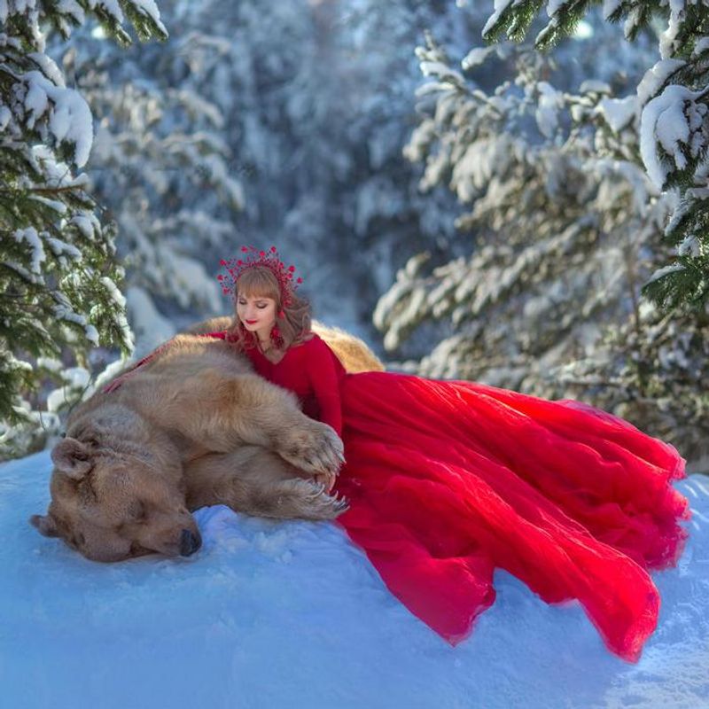 Photoshoot with a brown bear
