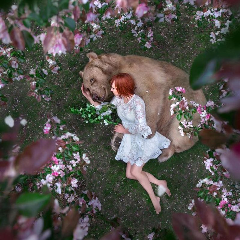 Photoshoot with a brown bear