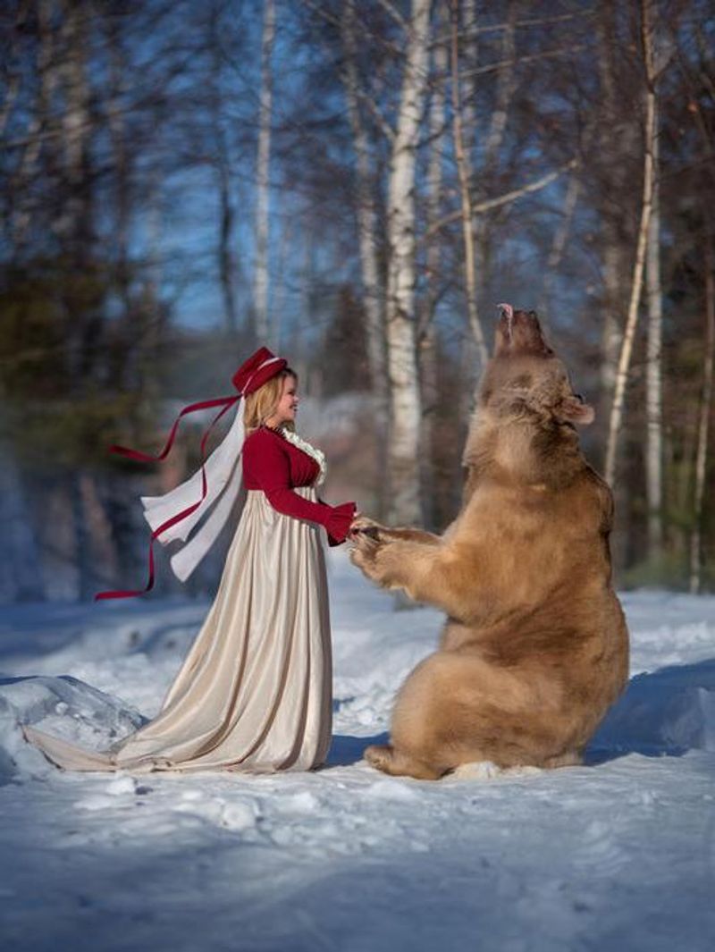 Photoshoot with a brown bear