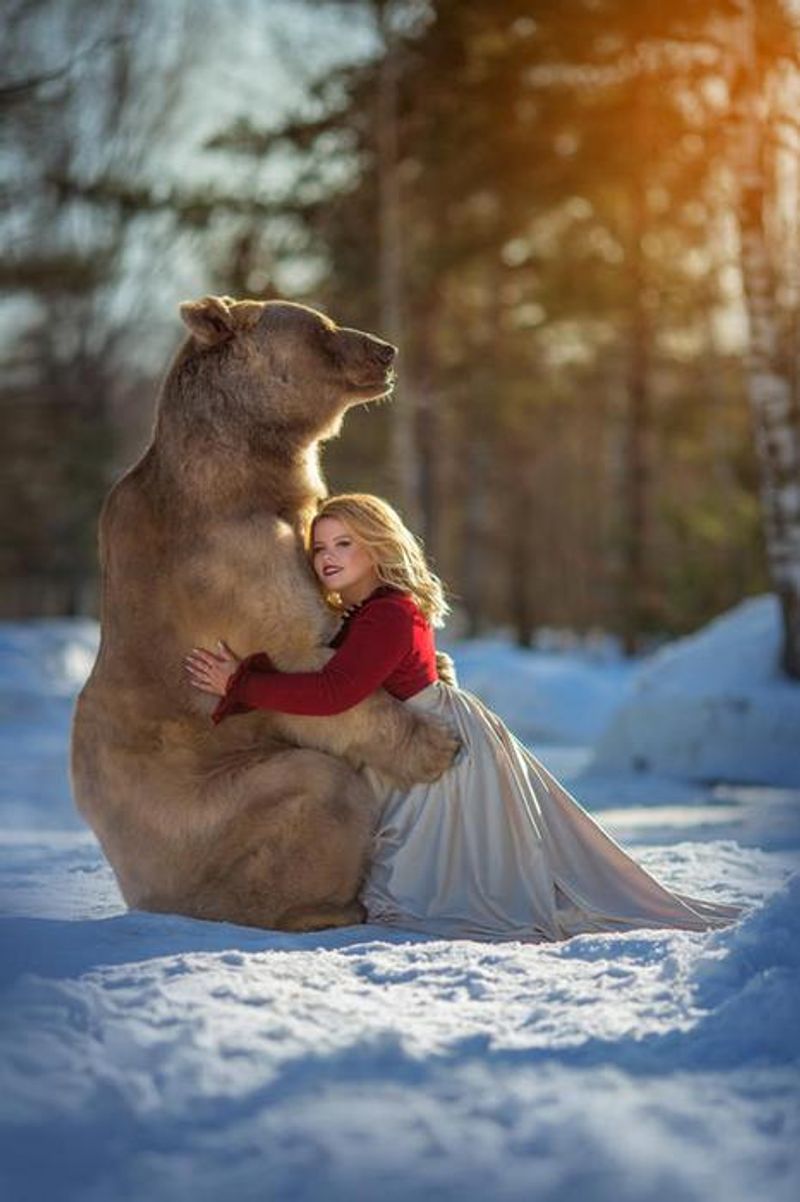 Photoshoot with a brown bear
