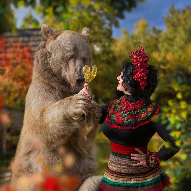 Photoshoot with a brown bear