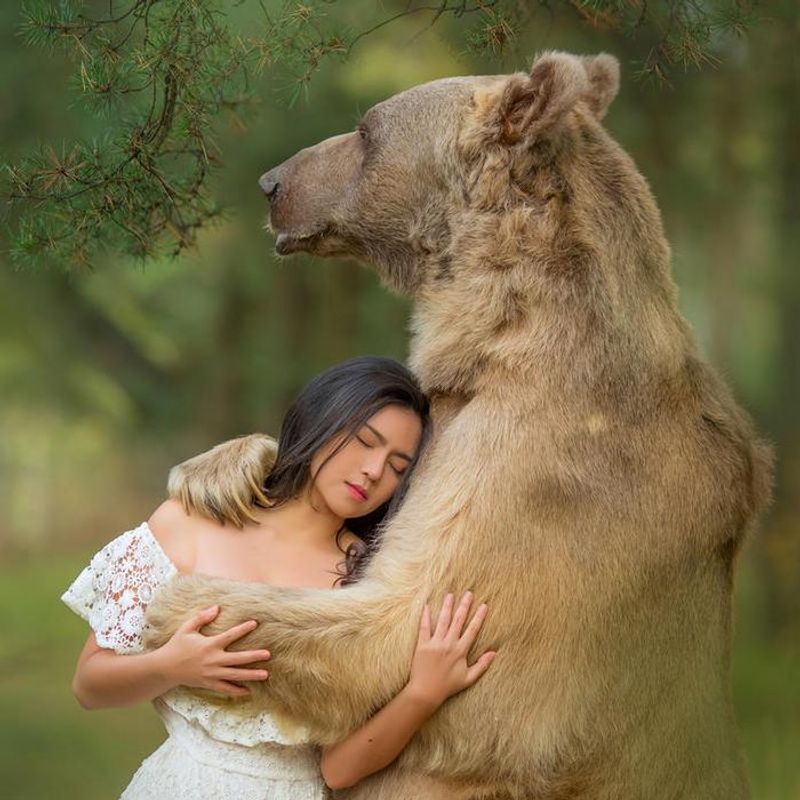 Photoshoot with a brown bear