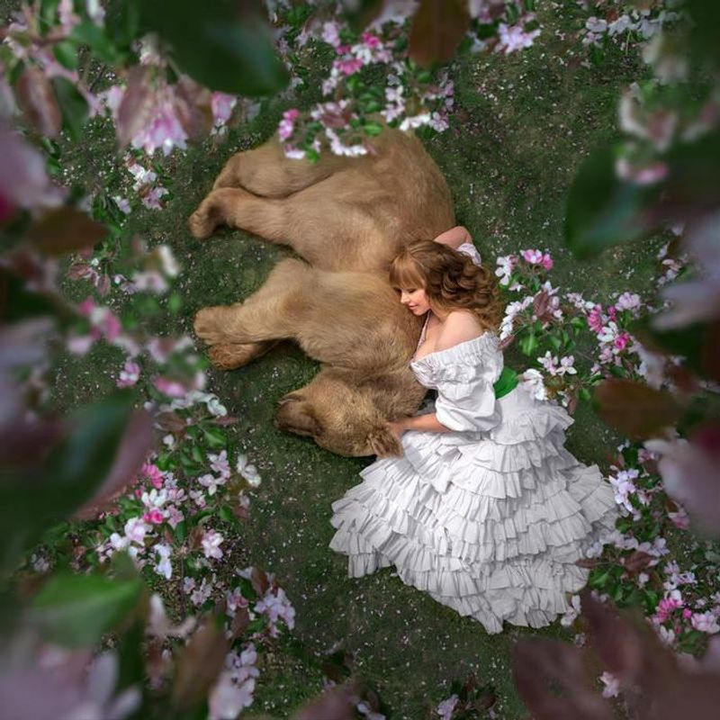Photoshoot with a brown bear