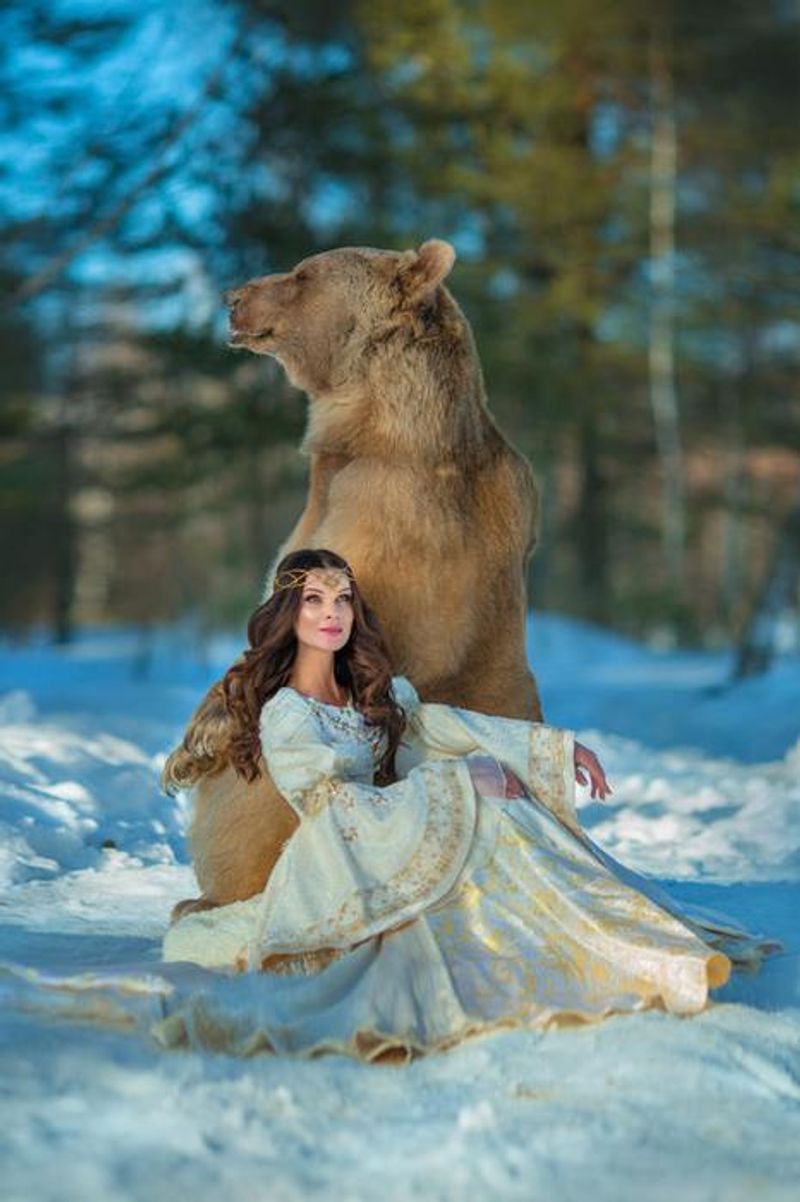 Photoshoot with a brown bear
