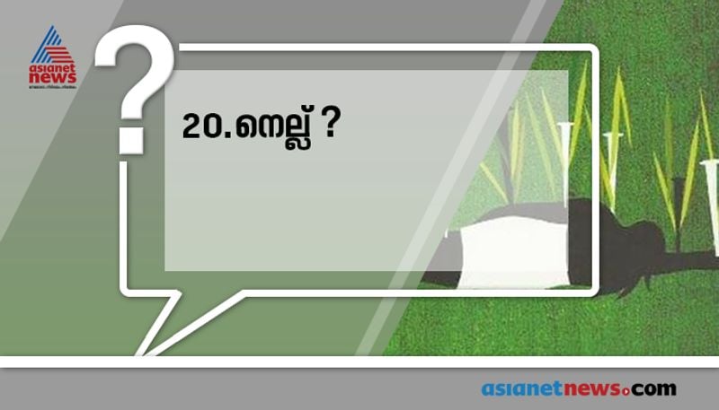 repeated questions about books and authors in psc examinations
