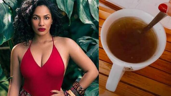 Masaba Gupta shares the recipe of her immunity drink Masaba Gupta shares the recipe of her immunity drink